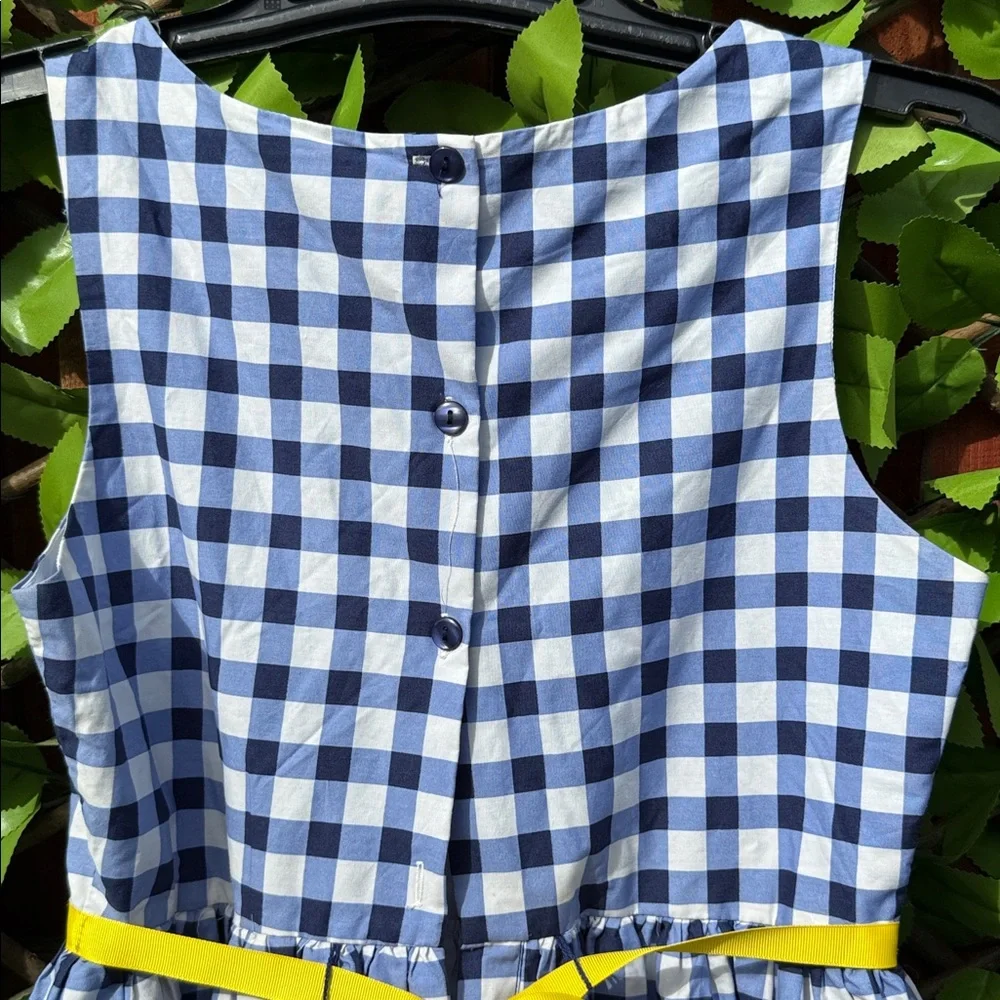 Sweet Heart Rose Blue Gingham Checkered Daisy Dress Size 16 Girls